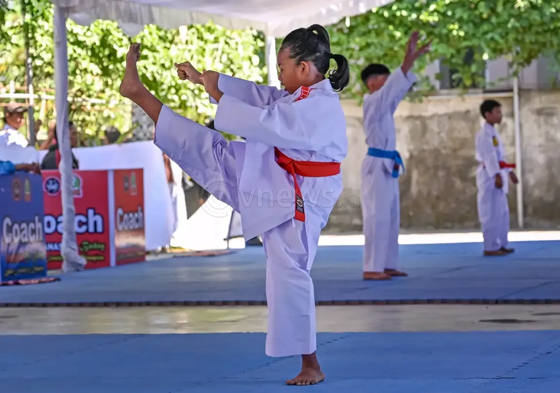 Kejuaraan Karate Ya Baday 2026
