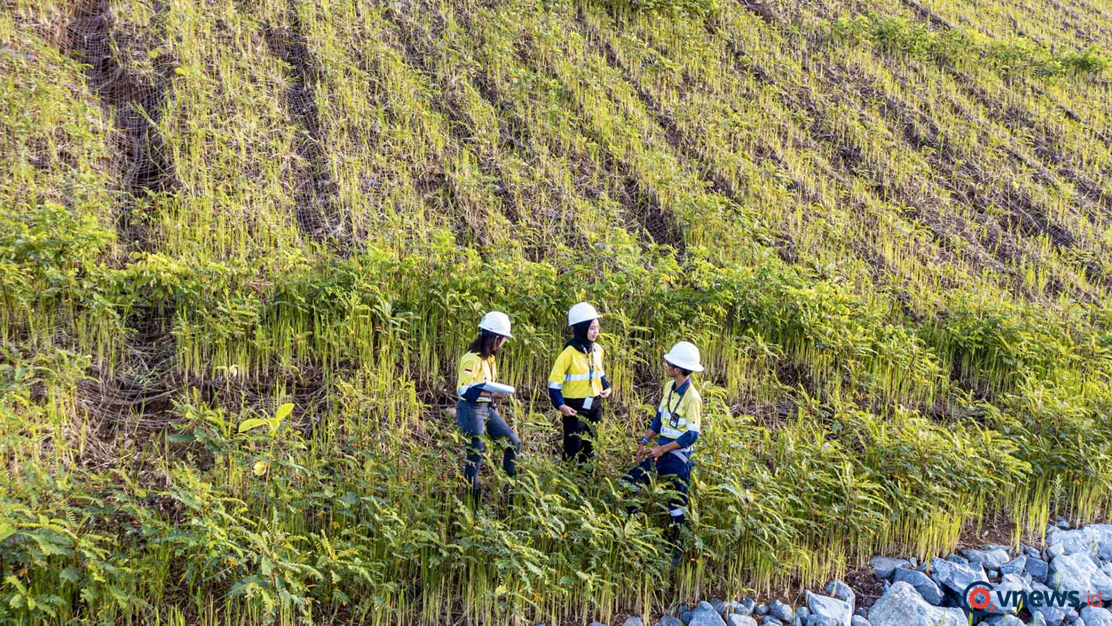 Di Balik Hijaunya Tambang Batu Hijau