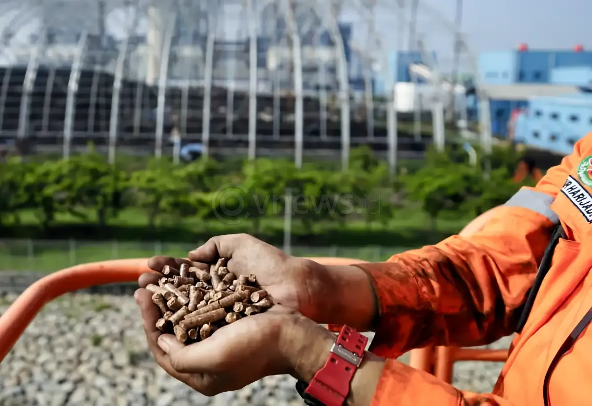 PLN UPK Timor dan Kawasan Industri Bolok Bahas Peluang Investasi Pemasok Woodchip untuk Dukung Cofiring PLTU Bolok