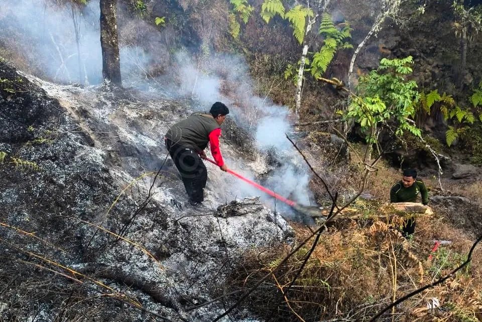 Kebakaran Hutan Rinjani Hanguskan 977 Hektare, Jalur Senaru dan Torean Ditutup