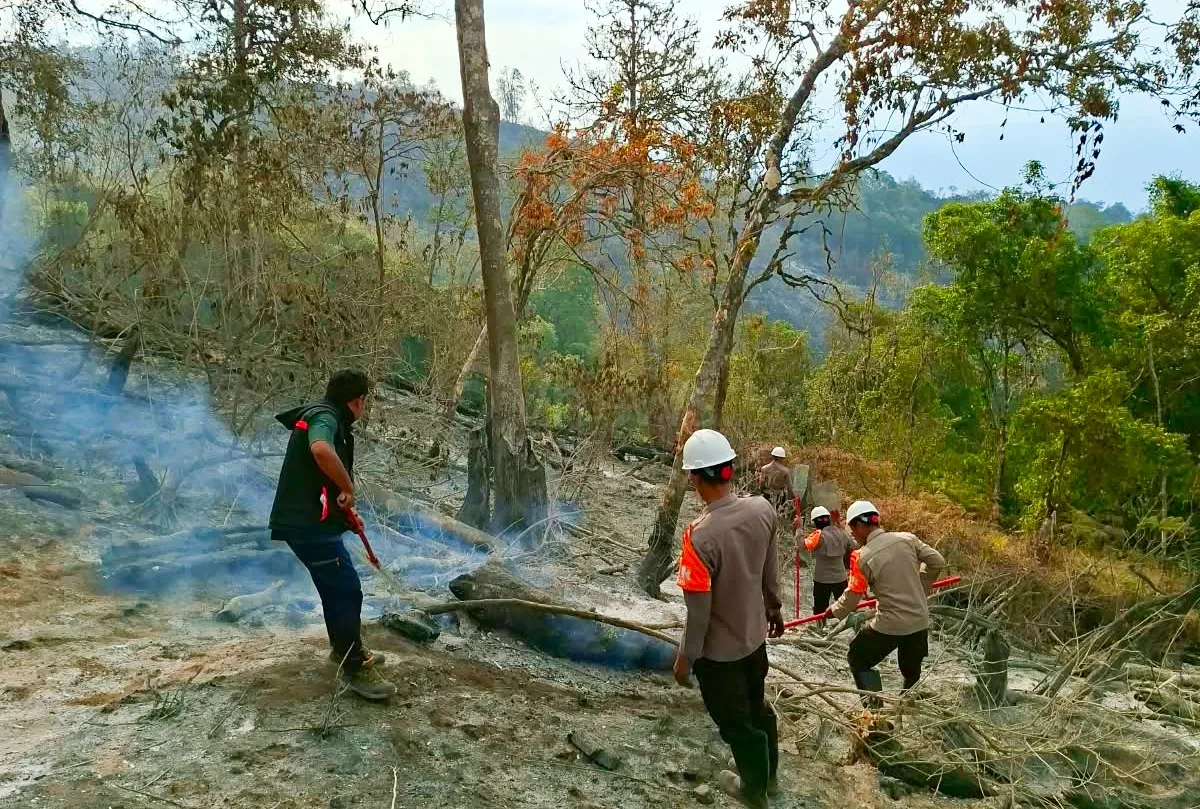 Kebakaran Hutan Rinjani Hanguskan 977 Hektare, Jalur Senaru dan Torean Ditutup