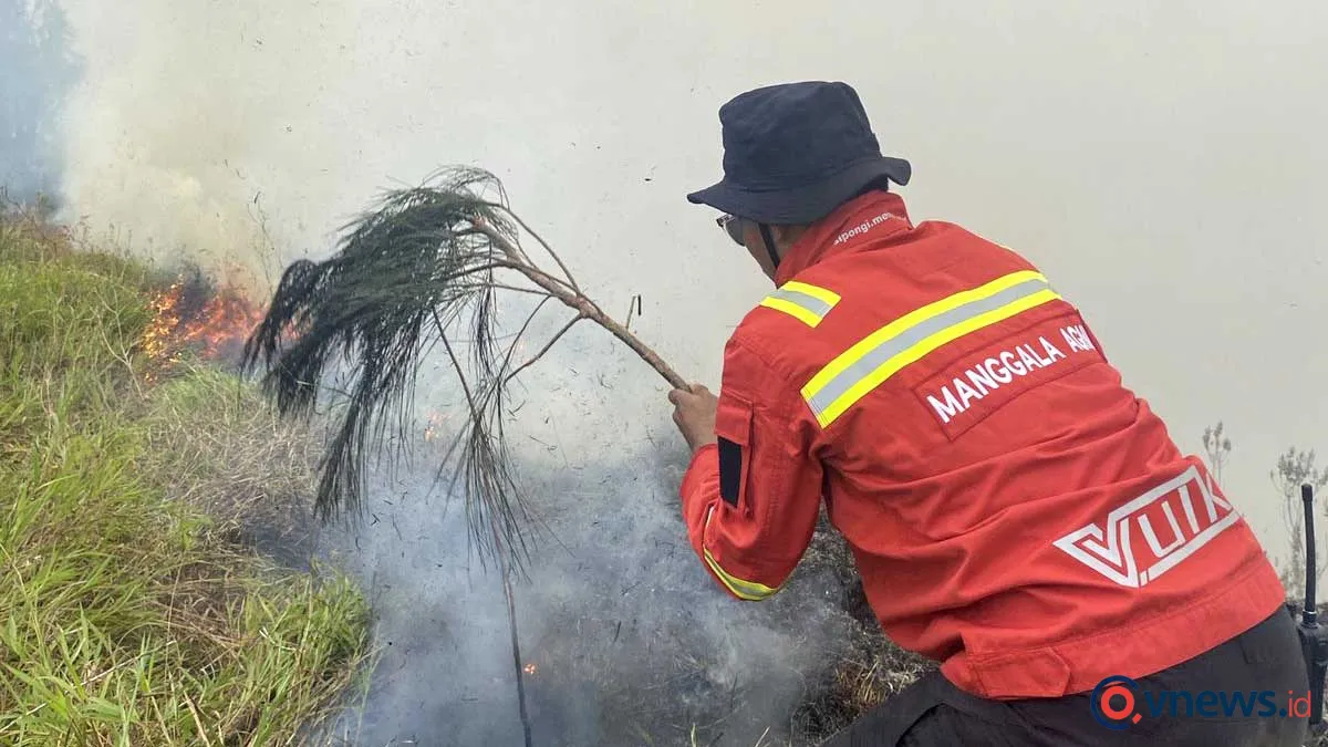 Tim gabungan Kemenhut berhasil padamkan kebakaran hutan di Lombok Timur selama empat hari