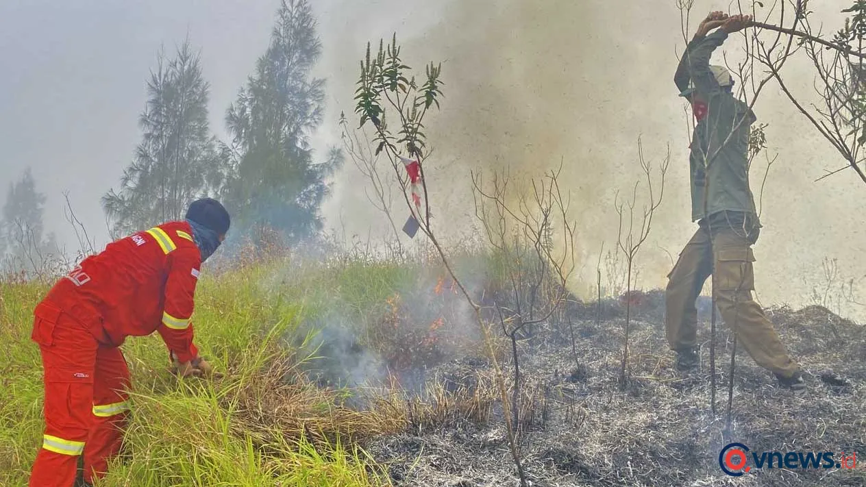 Tim gabungan Kemenhut berhasil padamkan kebakaran hutan di Lombok Timur selama empat hari