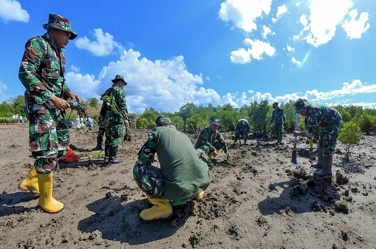 Penanaman Mangrove di Mandalika