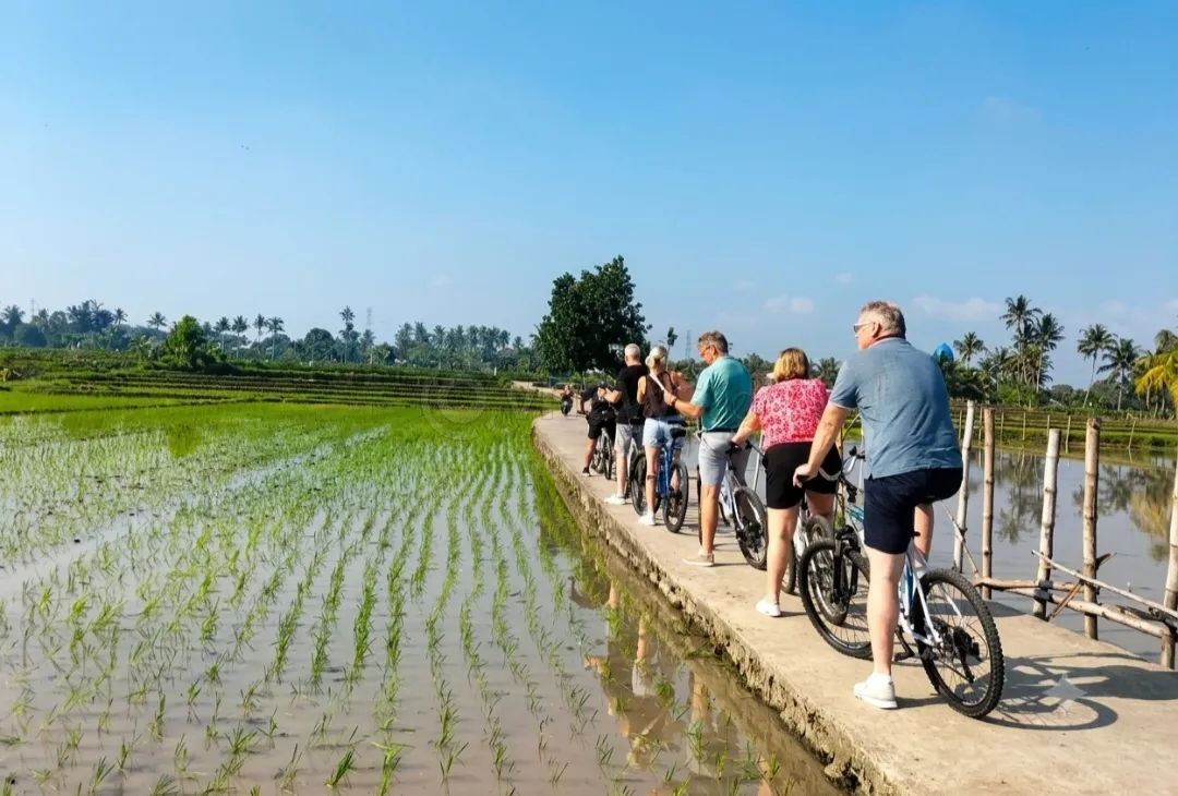 Green Tourism Berbasis Sepeda Desa Mambalan Sukses Sedot Perhatian Wisman Kapal Pesiar